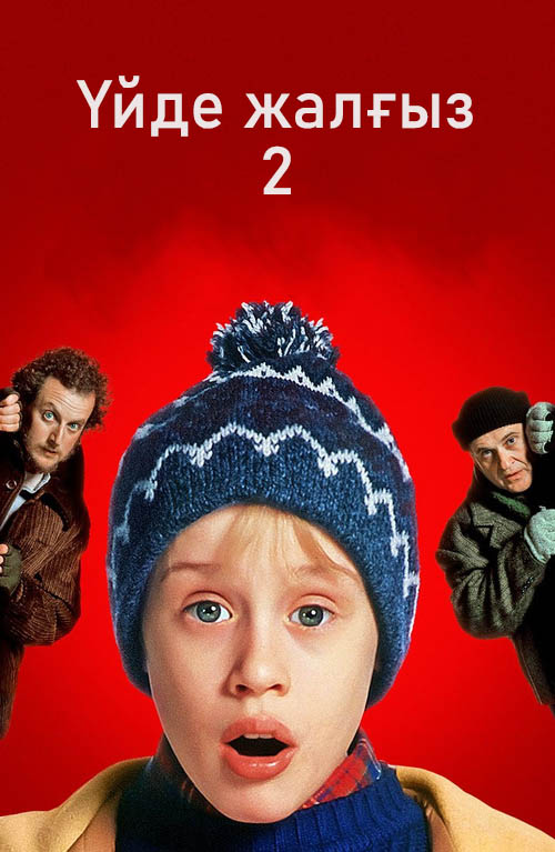 Үйде жалғыз 2: Нью-Йоркте жоғалған