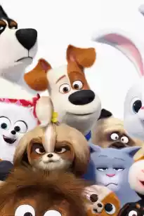 Үй жануарларының құпия өмірі